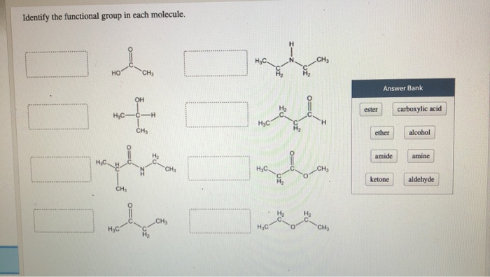 Solved Identify The Functional Group In Each Molecule