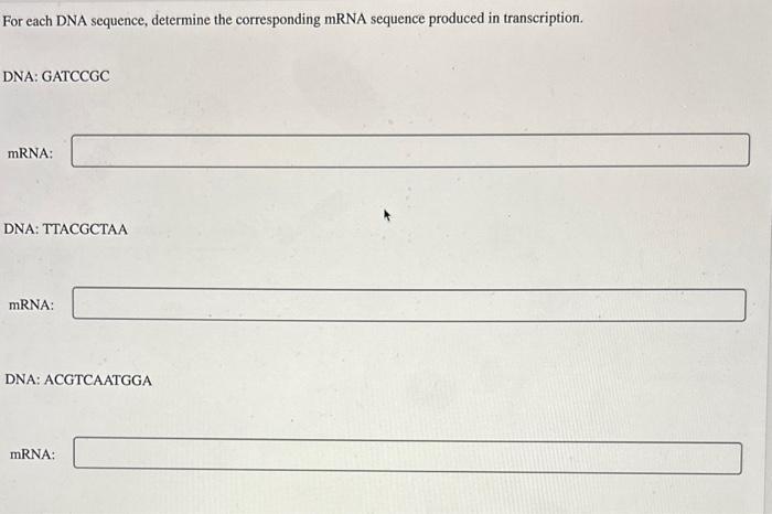 Solved Using The Below Dna Sequence Predict The Mrna Or Cheggcom
