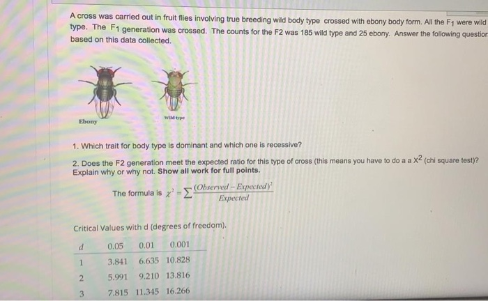 Solved A cross was carried out in fruit flies involving true | Chegg.com