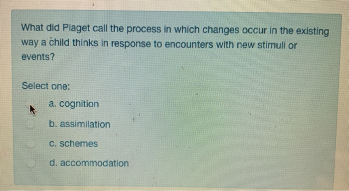 Solved What did Piaget call the process in which changes Chegg