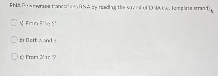 Solved RNA Polymerase transcribes RNA by reading the strand | Chegg.com