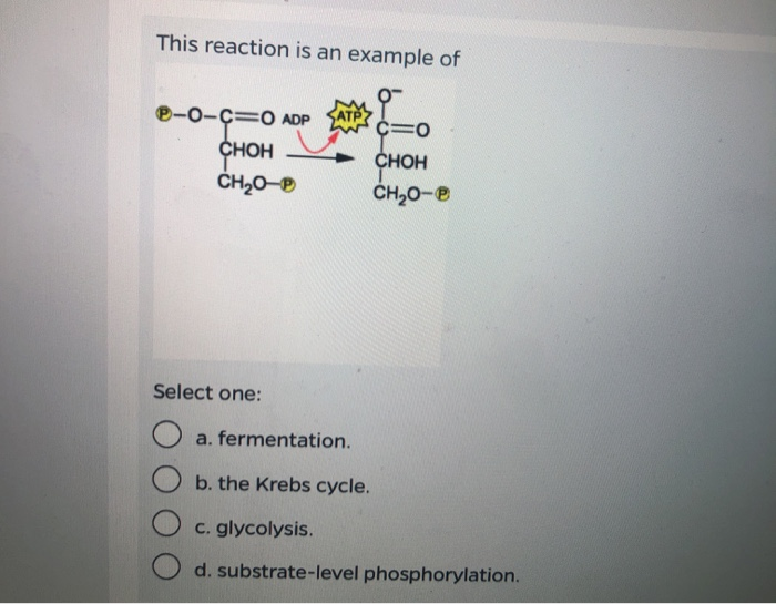 Solved This Reaction Is An Example Of C 0 0 C Adp Choh Chegg Com
