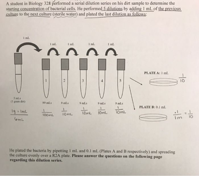 how to do dilution series