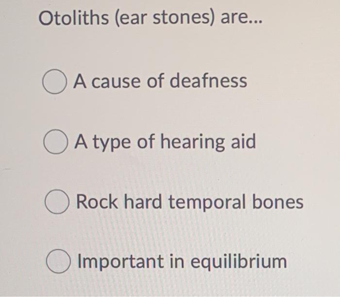 otoliths ear
