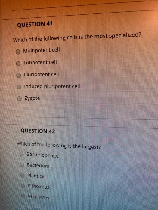 Solved QUESTION 41 Which of the following cells is the most | Chegg.com