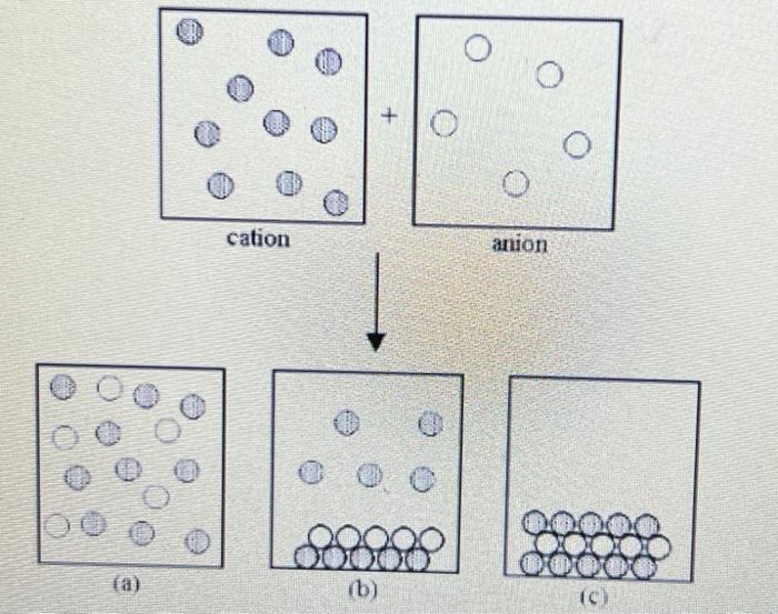 Solved look at the mixing of aqueous solutions of a cation | Chegg.com