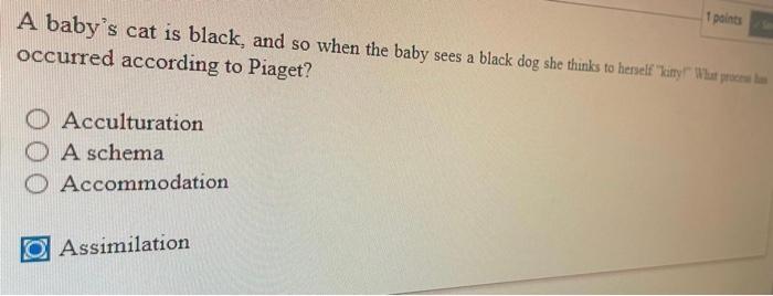 Solved whats the correct answer A baby s cat is black and Chegg