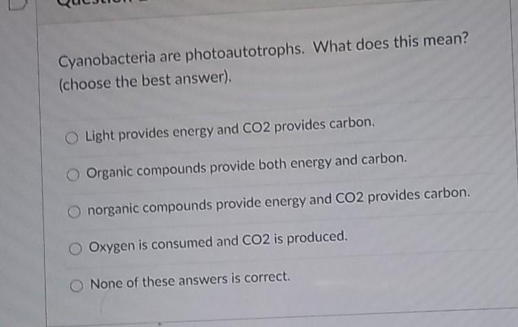 photoautotrophes