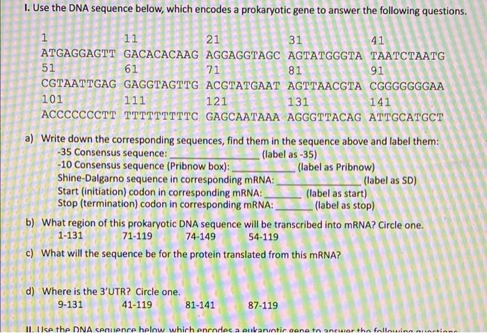 Solved 1. Use The DNA Sequence Below, Which Encodes A | Chegg.com