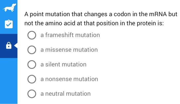Solved A point mutation that changes a codon in the mRNA but | Chegg.com