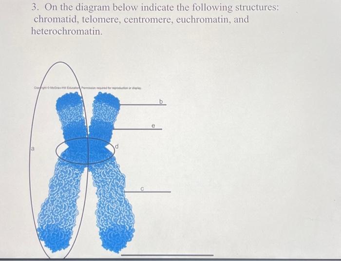 Solved 3. On the diagram below indicate the following | Chegg.com