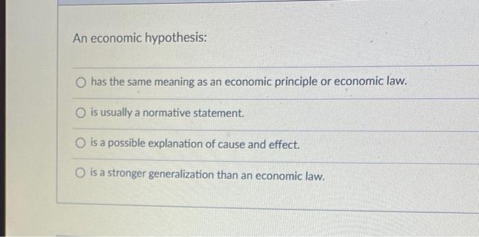 hypothesis in economic terms