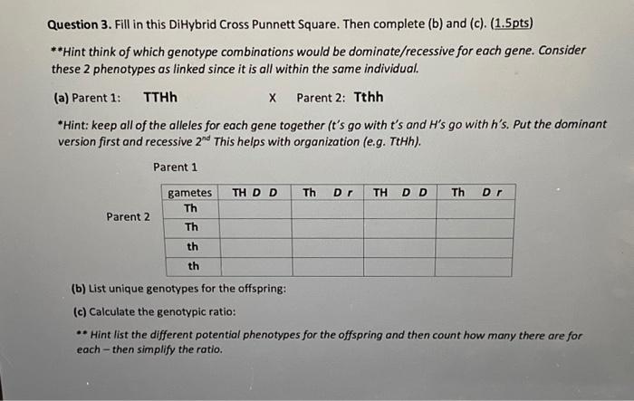 Solved Question 3. Fill in this DiHybrid Cross Punnett | Chegg.com