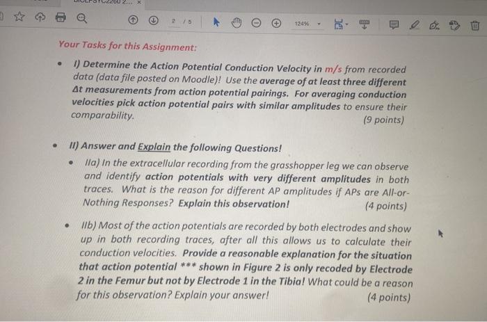 2... x
2/5
124%
Y
Your Tasks for this Assignment:
?
1) Determine the Action Potential Conduction Velocity in m/s from recorde