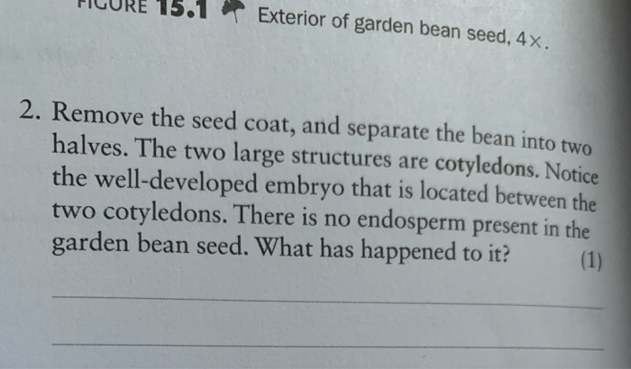 Solved FIGURE 15.1 Exterior Of Garden Bean Seed, 4x. 2. | Chegg.com