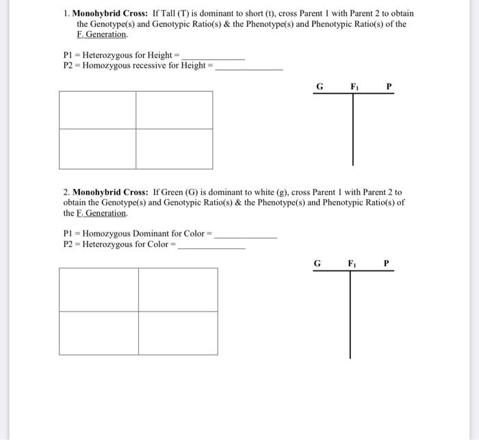 Solved 1. Monohybrid Cross: If Tall (T) is dominant to short | Chegg.com