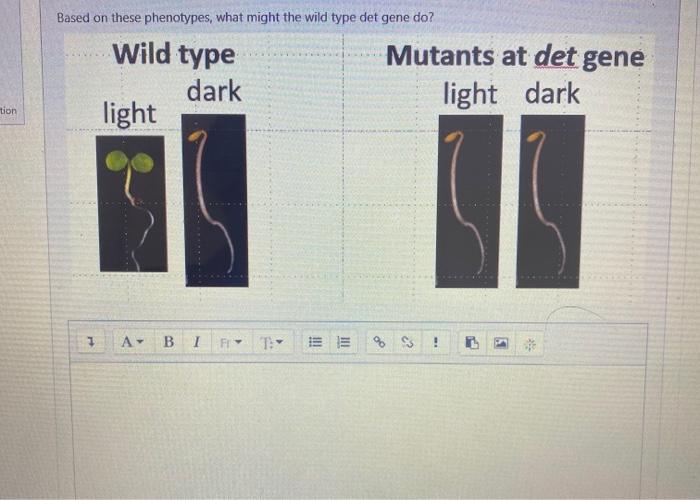 Solved Based on these phenotypes, what might the wild type | Chegg.com