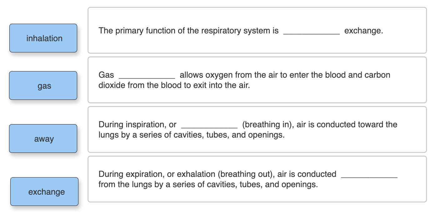 Solved The primary function of the respiratory system is | Chegg.com