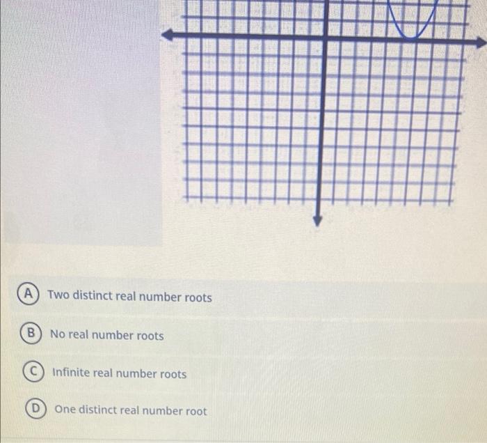 What Does Real Number Root Mean