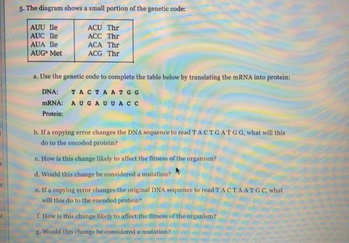 Solved 5. The diagram shows a small portion of the genetic | Chegg.com