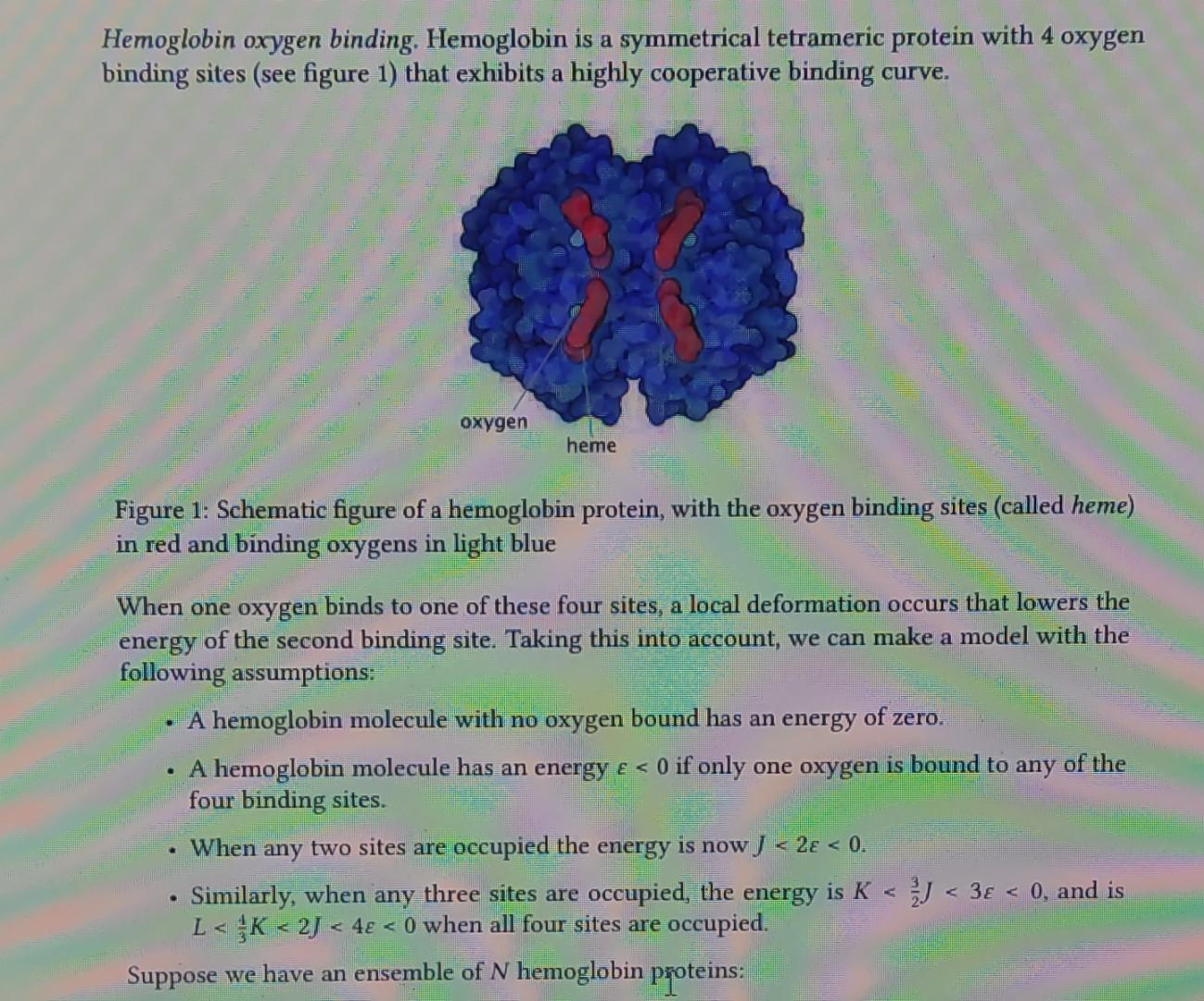 Hemoglobin oxygen binding. Hemoglobin is a symmetrical tetrameric protein with 4 oxygen binding sites (see figure 1) that exh