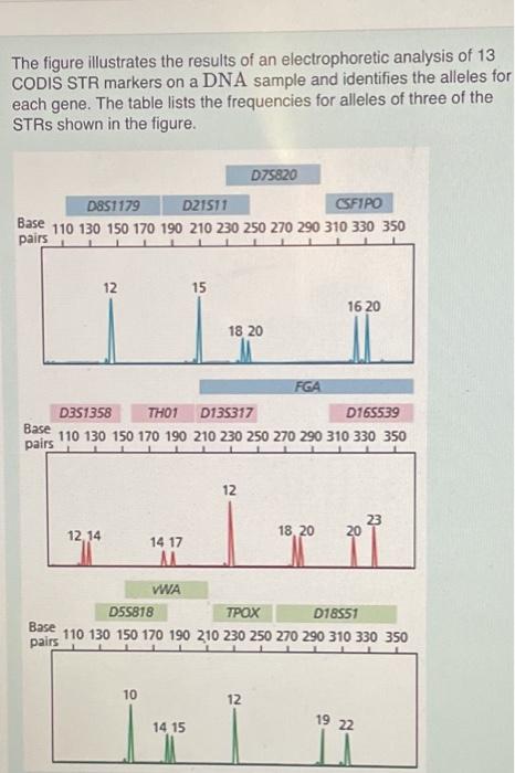 The figure illustrates the results of an | Chegg.com