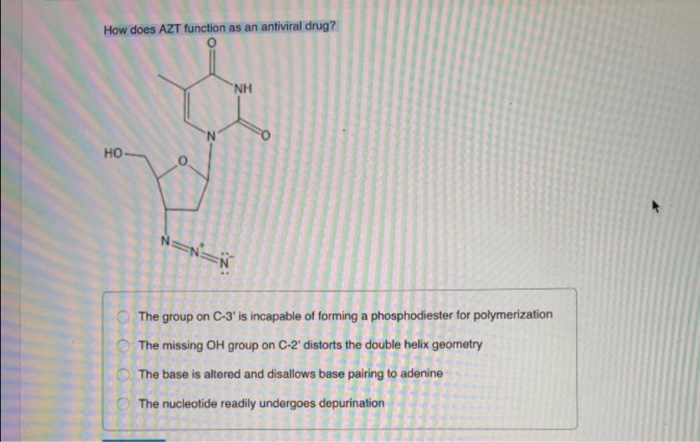 Solved How does AZT function as an antiviral drug? NH HO The | Chegg.com