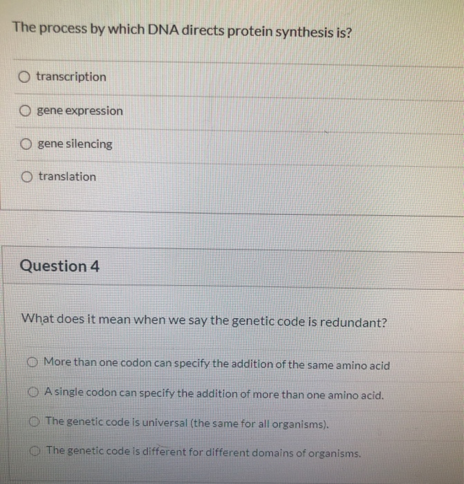 Solved In the process of transcription. O mRNA attaches to | Chegg.com