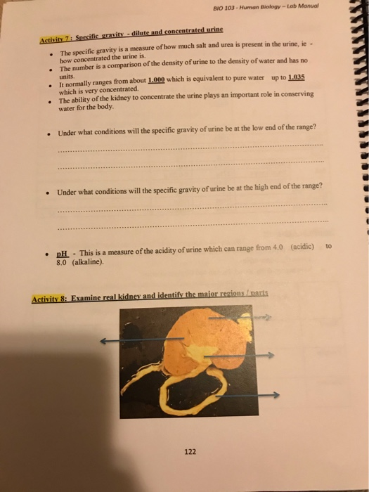 Solved BIO 103 - Human Biology-Lob Manual Lab 9: Urinary | Chegg.com