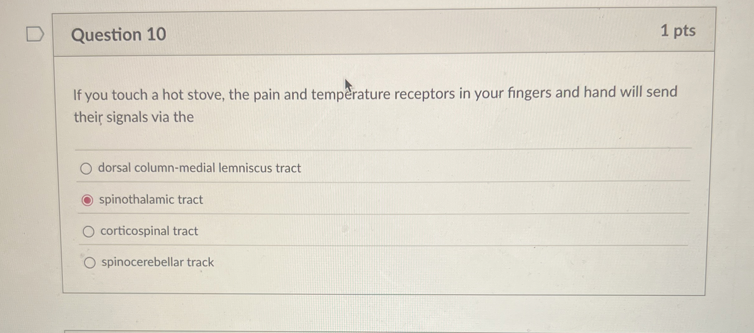 Solved Question 10If you touch a hot stove, the pain and