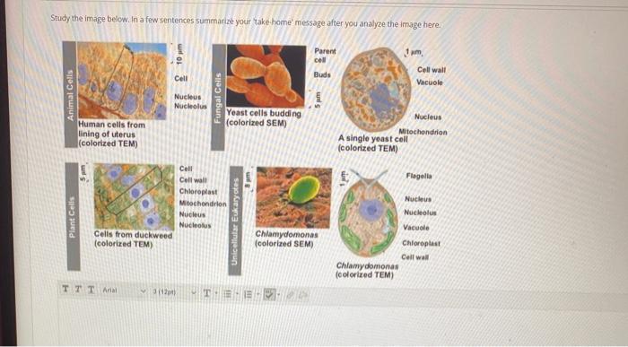 Solved Study the image below. In a few sentences summarize | Chegg.com