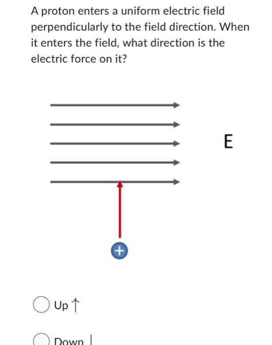 Solved Find the net electric field in N/C at point P, where | Chegg.com