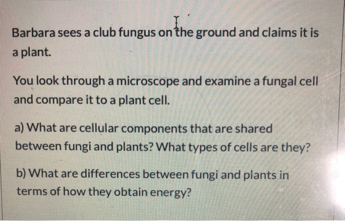 club fungi microscope
