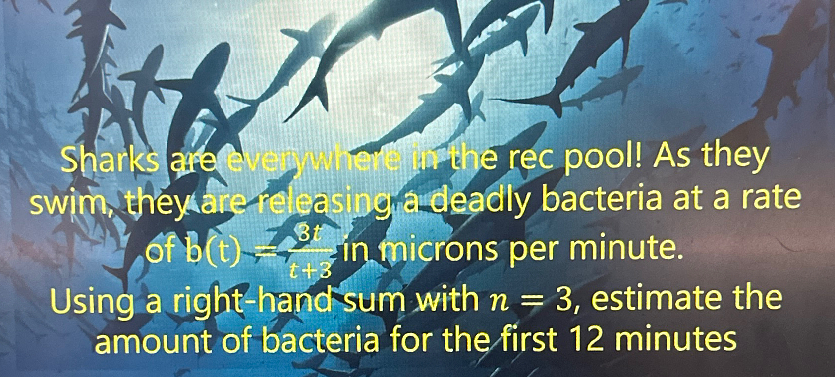 Solved Sharks Are Swim, They Are Releasingradeadly Bacteria | Chegg.com