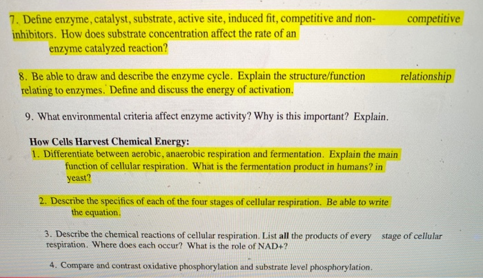Solved Competitive 7. Define Enzyme, Catalyst, Substrate, | Chegg.com Solved Competitive 7. Define Enzyme, Catalyst, Substrate, | Chegg.com