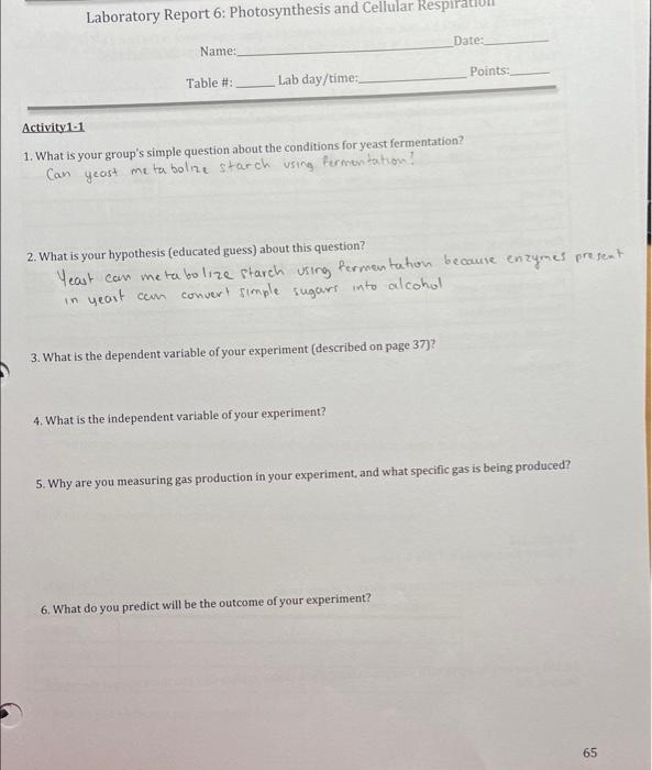 Solved Laboratory Report 6 Photosynthesis and Cellular