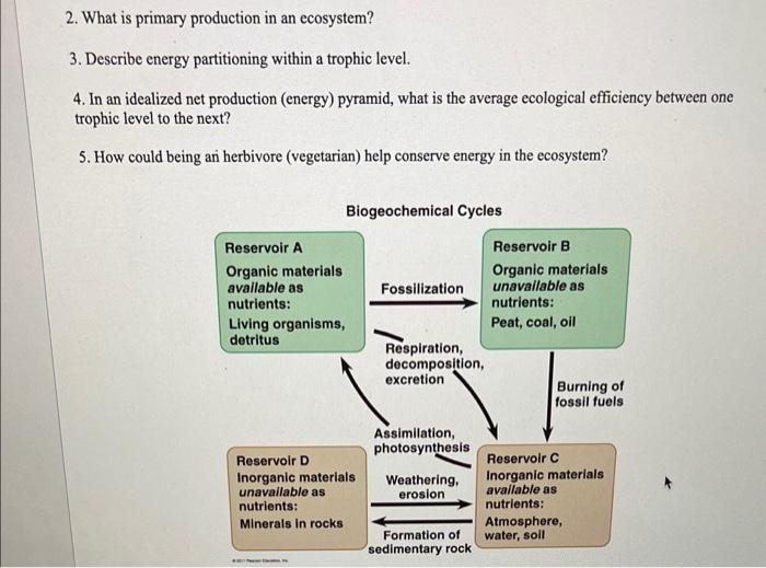 relate-the-concept-of-gross-and-net-production-to-the-concept-of-energy