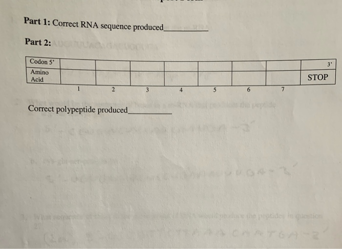 Solved please help answering part 1 and part 2 using the dna | Chegg.com