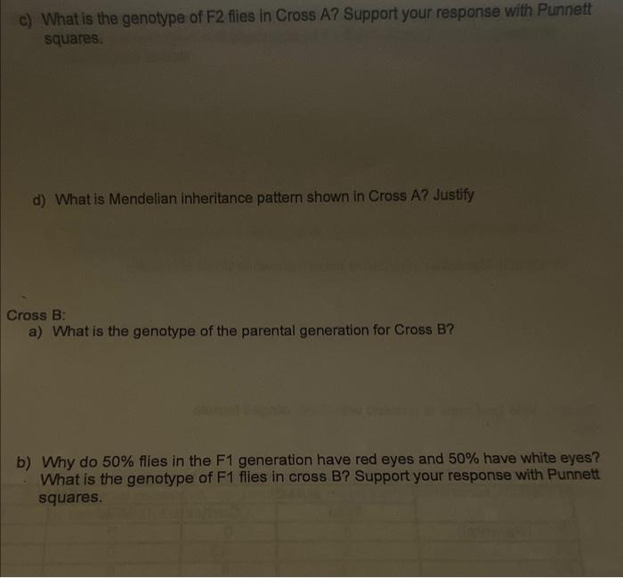 Solved Analyze The Cross A And Cross B Below: In Cross A | Chegg.com