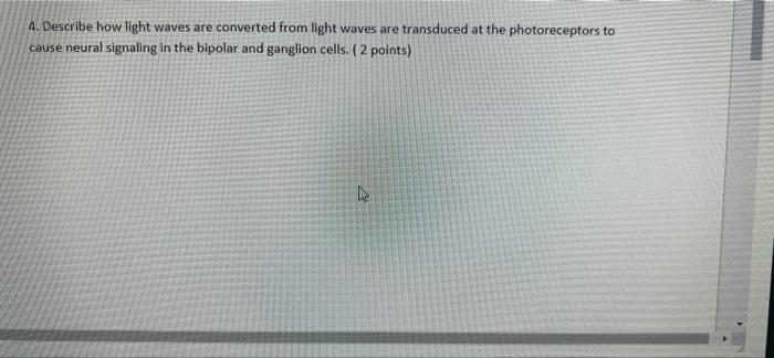 describe how light waves travel from a source