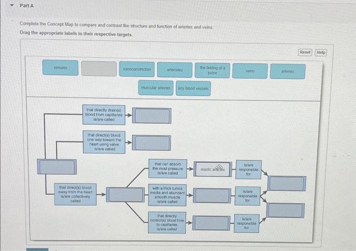 Solved Part A Complete the Concept Map to compare and | Chegg.com