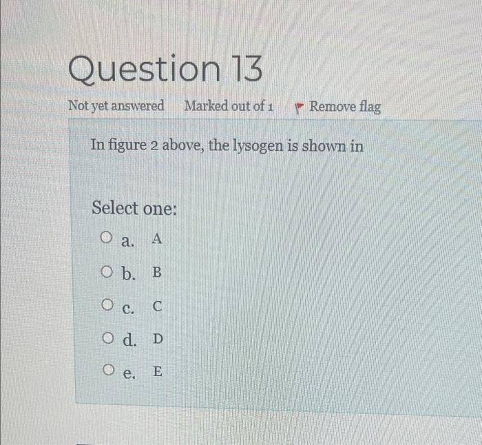 Solved Flag question Table 1 1-Arthroconidium 4-Conidium | Chegg.com