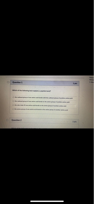 Solved Question 41 4 pts What is the function, basic | Chegg.com