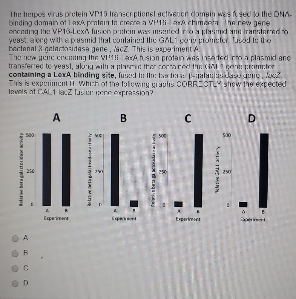 Solved The Herpes Virus Protein Vp 16 Transcriptional Act Chegg Com
