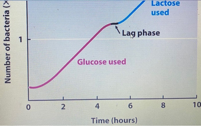 Solved E. coli was grown in media containing glucose and | Chegg.com