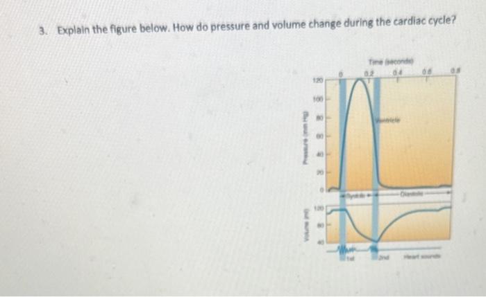 Solved 3. Explain the figure below. How do pressure and | Chegg.com
