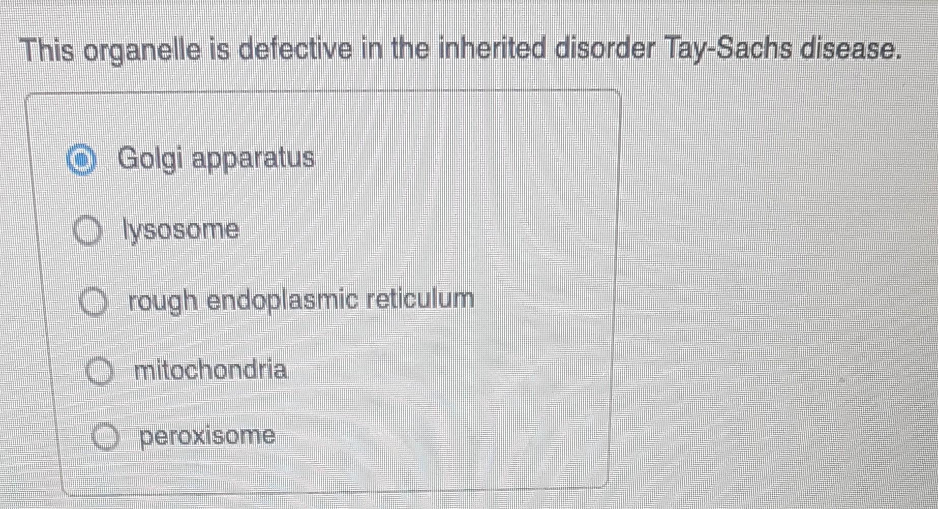 defective organelle case study answer key