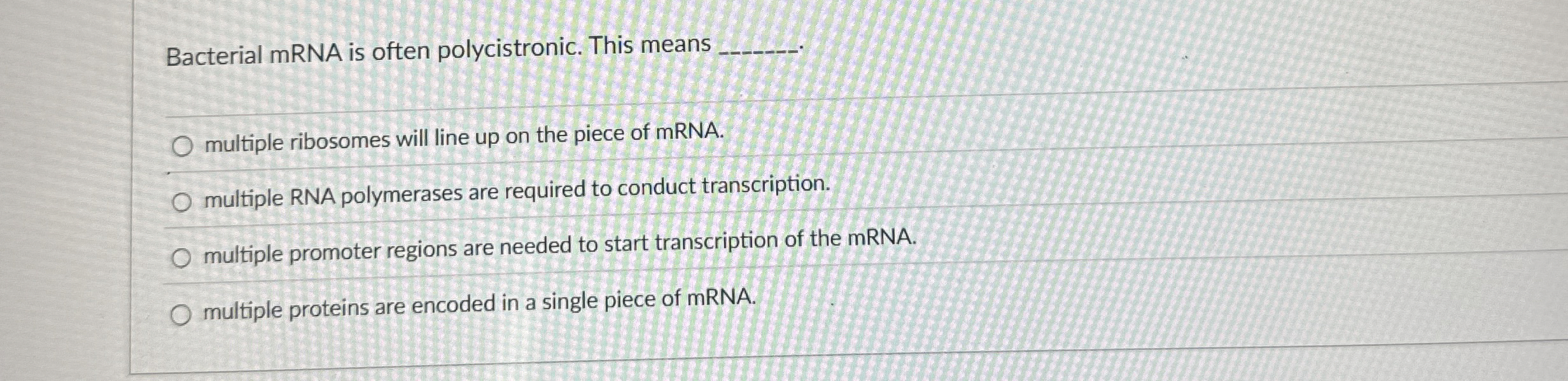 Solved Bacterial mRNA is often polycistronic. This | Chegg.com
