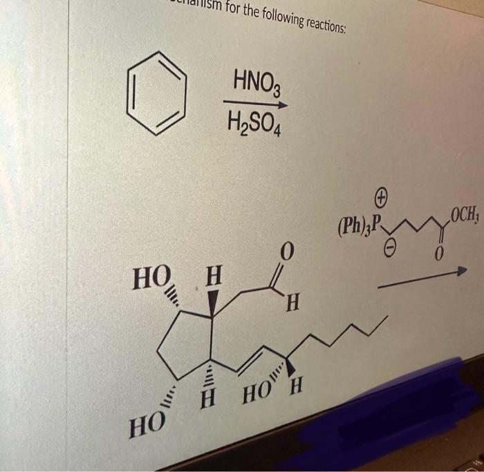 Solved H2SO4HNO3 | Chegg.com