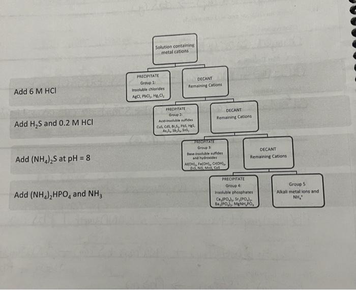 solubility rules flowchart